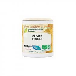 Olivier - Gélules de plantes Bio - Phytofrance