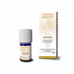 DEVA Quantique Olfactif BIO - Evoluer - Le chemin de la transformation