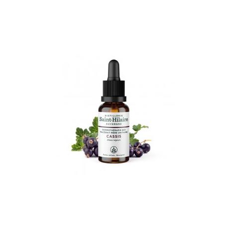 De Saint Hilaire - Macérat mère de bourgeons unitaire de Cassis biologique 30 ml