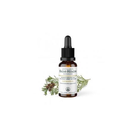 De Saint Hilaire - Macérat mère de bourgeons unitaire de Sequoia biologique 30 ml