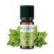 De Saint Hilaire - Huile Essentielle de Basilic Tropical bio 10 ml