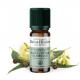 De Saint Hilaire - Huile Essentielle d'Eucalyptus globulus 10 ml