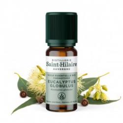 De Saint Hilaire - Huile Essentielle d'Eucalyptus globulus 10 ml