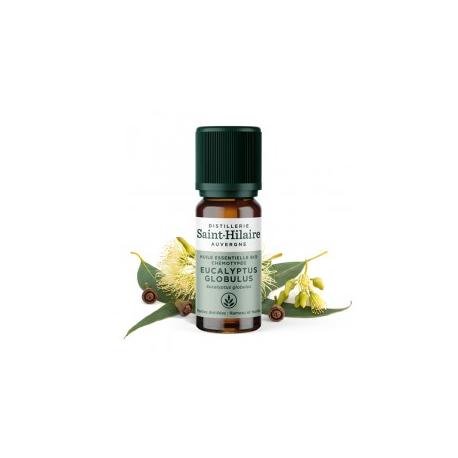 De Saint Hilaire - Huile Essentielle d'Eucalyptus globulus 10 ml