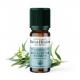 De Saint Hilaire - Huile Essentielle d'Eucalyptus radiata 10 ml