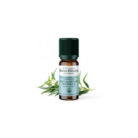 De Saint Hilaire - Huile Essentielle d'Eucalyptus radiata 10 ml