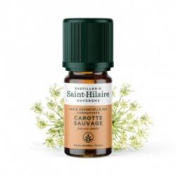 De Saint Hilaire - Huile Essentielle de Carotte sauvage 5 ml