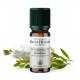 De Saint Hilaire - Huile Essentielle de Niaouli 10 ml