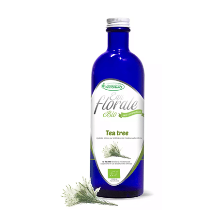 Hydrolat Bio de Tea tree de France - Producteur, distillateur