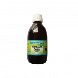 Pin sylvestre Aiguilles - Extrait Hydroalcoolique de plante fraîche Bio - Phytofrance
