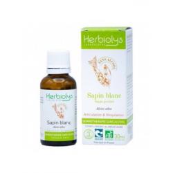 Herbiolys - Macerat de bourgeons Sapin blanc BIO - 30 ml