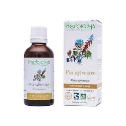 Herbiolys - Teinture mère de pin sylvestre BIO - 50 ml