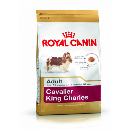 CROQUETTES CAVALIER KING CHARLES ADULTE ROYAL CANIN CROQUETTES CAVALIER KING CHARLES ADULTE ROYAL CANIN
