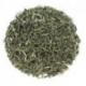 MAO JIAN - Paquet de 100g
