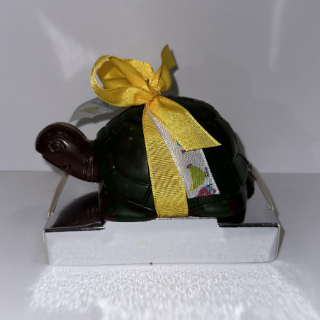 TORTUE CHOCOLAT NOIR