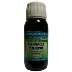 Echinacée pourpre - Extrait Hydroalcoolique de plante fraîche Bio - 60 ml - Phytofrance