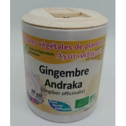 gingembre-gelules-de-plantes-bio-phytofrance