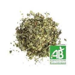 MATE VERT Menthe BIO - Paquet de 100g