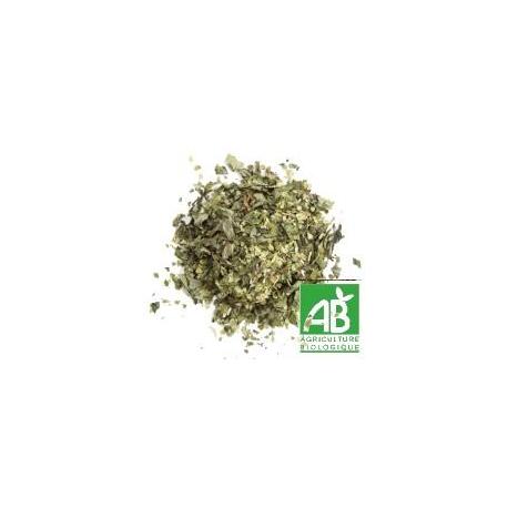 MATE VERT Menthe BIO - Paquet de 100g