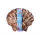 Coquille St Jacques 200g Pâques