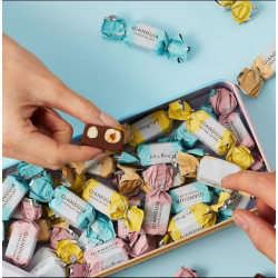 Boite metal Giandujas aux 2 noisettes 260g. 
