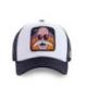 Casquette Dragon Ball Z Kame | CAPSLAB
