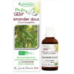 Phyto'Gem Marronnier Bio - Macérat mère de bourgeons unitaire - 40ml - Phytofrance