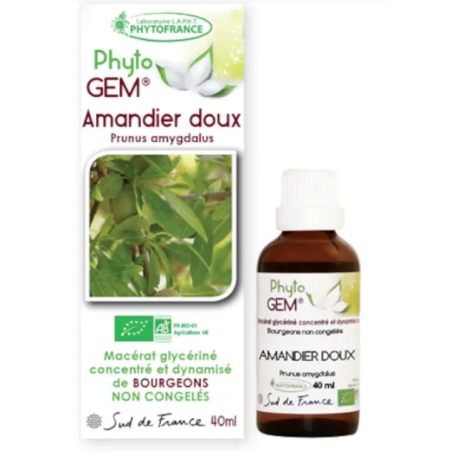 Phyto'Gem Marronnier Bio - Macérat mère de bourgeons unitaire - 40ml - Phytofrance