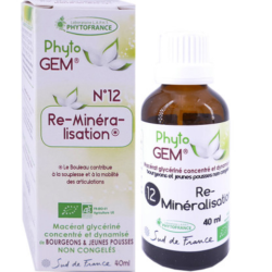 Phyto'Gem n°11 Ménopause Bio - Macérat mère de bourgeons complexe - 40ml - Phytofrance