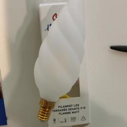 Ampoule Géante e14 Led