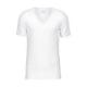 T.shirt CALIDA homme coton confortable - Les Dessous de Max