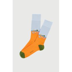 Chaussettes Arthur homme coton confortable - Les Dessous de Max