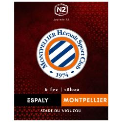 6 févr. J13 : ESPALY / MONTPELLIER HSC