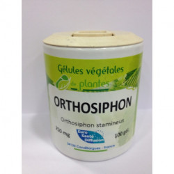 Orthosiphon - Gélules de plantes Phytofrance