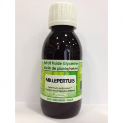 Millepertuis - Extrait Fluide Glycériné Miellé de plante Bio - Phytofrance
