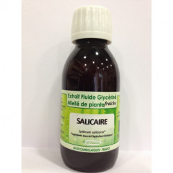 Salicaire - Extrait Fluide Glycériné Miellé de plante Bio - Phytofrance