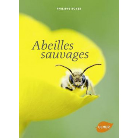Abeilles sauvage, éditions Ulmer Abeilles sauvage, éditions Ulmer