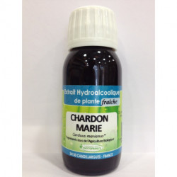 Chardon Marie - Extrait Hydroalcoolique de plante fraîche Bio - Phytofrance