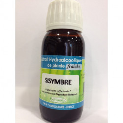 Sisymbre - Extrait Hydroalcoolique de plante fraîche Bio - Phytofrance