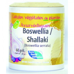 Boswellia Shallaki - Gélules de plantes Bio Phytofrance