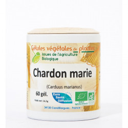 Chardon marie - Gélules de plantes Phytofrance