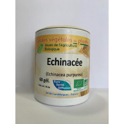 Echinacée - Gélules de plantes Bio Phytofrance