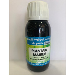 Plantain majeur - Extrait Hydroalcoolique de plante fraîche Bio - Phytofrance