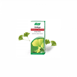 Artichaut - Extrait hydro-alcoolique de plante fraîche Bio - A.Vogel