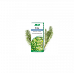 Prêle - Extrait hydro-alcoolique de plante fraîche Bio - A.Vogel