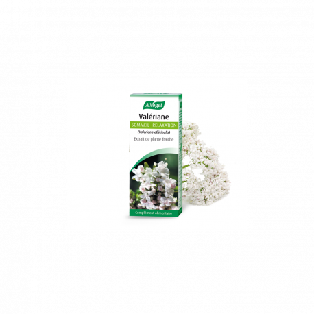 Valériane - Extrait hydro-alcoolique de plante fraîche Bio - A.Vogel Valériane - Extrait hydro-alcoolique de plante fraîche Bio - A.Vogel