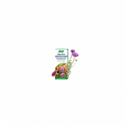 Boldocynara - Extrait hydro-alcoolique de plante fraîche Bio - A.Vogel