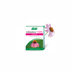 Echinaforce - Extrait hydro-alcoolique de plante fraîche Bio - A.Vogel