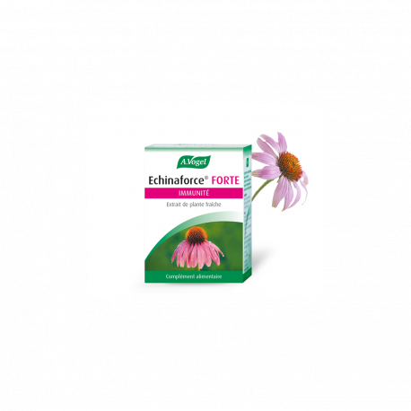 Echinaforce - Extrait hydro-alcoolique de plante fraîche Bio - A.Vogel