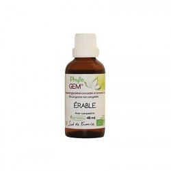 Phyto'Gem Erable Bio - Macérat mère de bourgeons unitaire - 40ml - Phytofrance